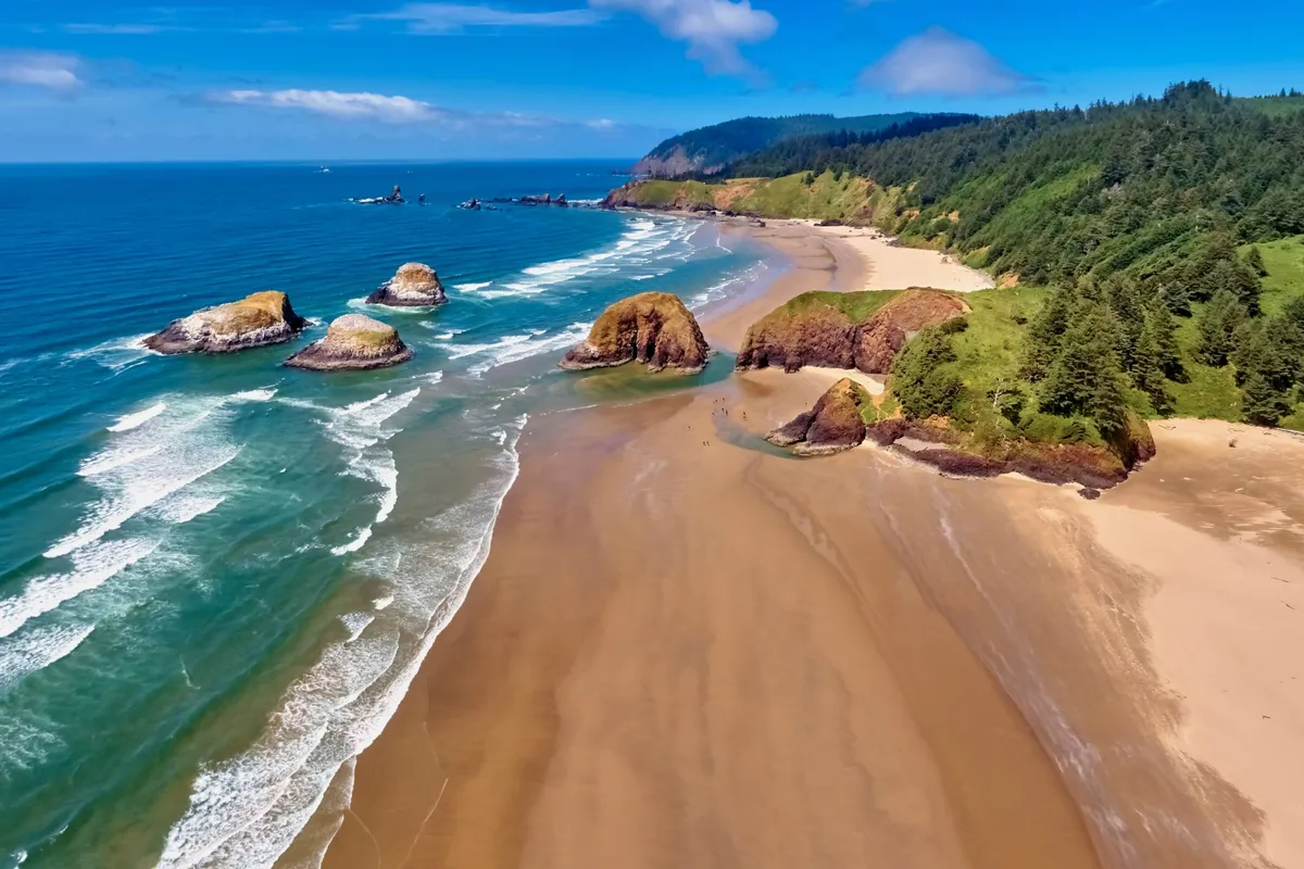 A sweeping view of the coastline featuring dramatic rock formations, gentle waves rolling onto a sandy beach, and lush forested hills in the background. The scene is tranquil yet full of potential for activity, with open space perfect for beachcombing, surfing, and coastal exploration.