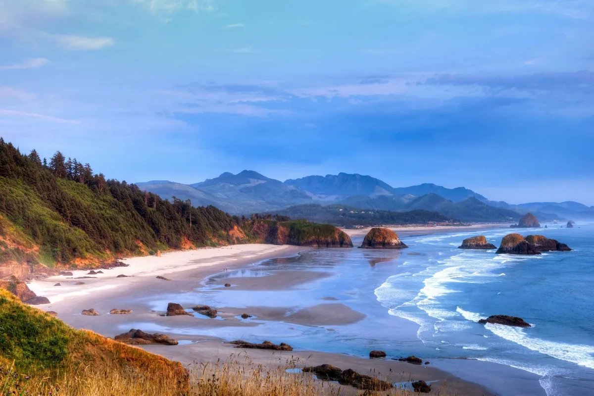 A sweeping coastal view featuring ocean waves crashing against rugged rock formations, with a sandy beach stretching along a forested coastline and distant mountains in the background. The scene is tranquil and immersive, capturing the natural beauty that defines the retreat’s surroundings.